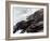 Homer: High Cliff, 1894-Winslow Homer-Framed Giclee Print