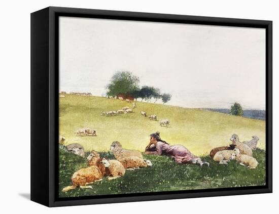 Homer's Sheep Countryside II-Winslow Homer-Framed Stretched Canvas