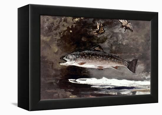 Homer: Trout, 1889-Winslow Homer-Framed Premier Image Canvas