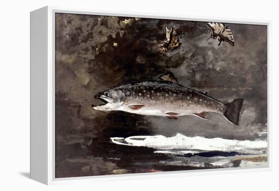 Homer: Trout, 1889-Winslow Homer-Framed Premier Image Canvas