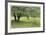 Homestead Fields-Donald Paulson-Framed Giclee Print