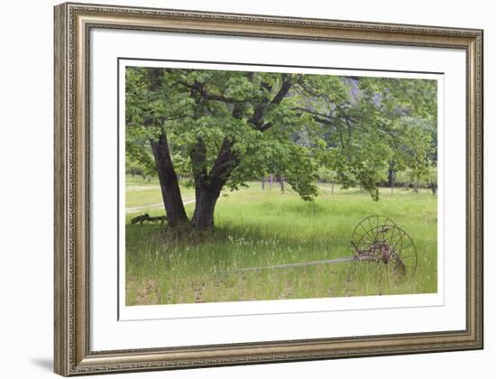 Homestead Fields-Donald Paulson-Framed Giclee Print