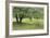 Homestead Fields-Donald Paulson-Framed Giclee Print