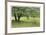 Homestead Fields-Donald Paulson-Framed Giclee Print