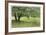 Homestead Fields-Donald Paulson-Framed Giclee Print