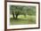 Homestead Fields-Donald Paulson-Framed Giclee Print