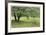 Homestead Fields-Donald Paulson-Framed Giclee Print