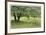 Homestead Fields-Donald Paulson-Framed Giclee Print