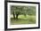 Homestead Fields-Donald Paulson-Framed Giclee Print