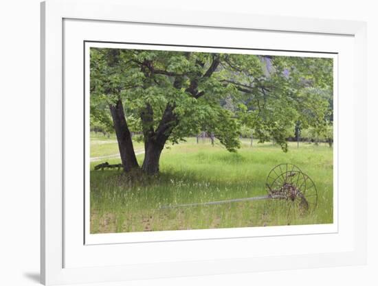 Homestead Fields-Donald Paulson-Framed Giclee Print