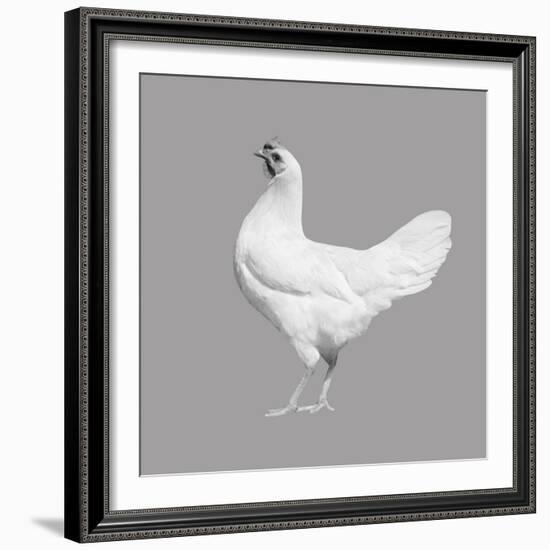 Homestead Pop-Eccentric Accents-Framed Art Print