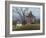 Homestead-David Knowlton-Framed Giclee Print