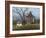 Homestead-David Knowlton-Framed Giclee Print