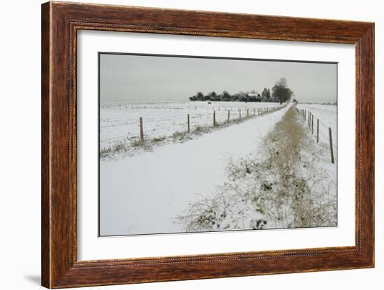 Homeward Path-Adrian Campfield-Framed Giclee Print