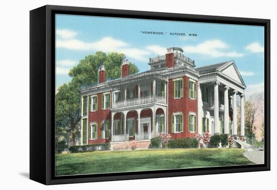 Homewood, Natchez, Mississippi-null-Framed Stretched Canvas