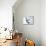 Homing Pigeon in Flight-null-Mounted Photographic Print displayed on a wall