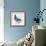 Homing Pigeon in Studio-null-Framed Photographic Print displayed on a wall