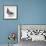 Homing Pigeon in Studio-null-Framed Photographic Print displayed on a wall