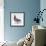 Homing Pigeon in Studio-null-Framed Photographic Print displayed on a wall