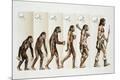 Giclee Print