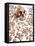 Hominid Fossil Skull 1470-John Reader-Framed Premier Image Canvas