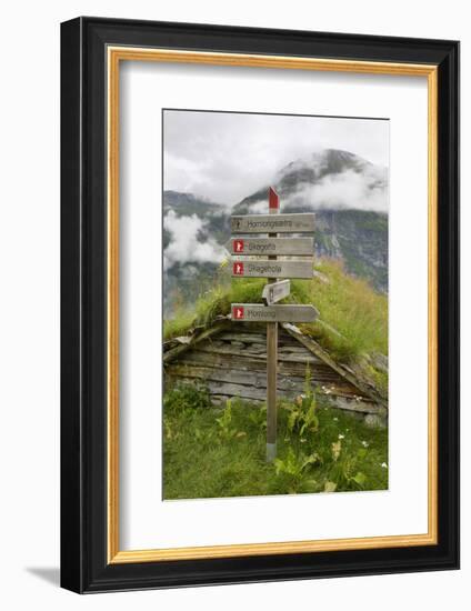 Homlongsaetra Mountain Farm, Geirangerfjorden Near Geiranger, UNESCO Site, More Og Romsdal, Norway-Gary Cook-Framed Photographic Print