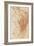Homme nu, vu à mi-corps, de dos-Andrea del Sarto-Framed Giclee Print