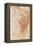 Homme nu, vu à mi-corps, de dos-Andrea del Sarto-Framed Premier Image Canvas