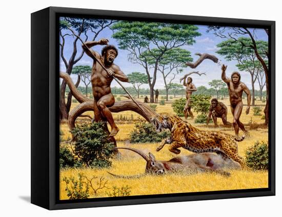 Homo Ergaster Hunting Group-Mauricio Anton-Framed Premier Image Canvas