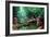 Homo Floresiensis-Mauricio Anton-Framed Photographic Print