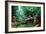 Homo Floresiensis-Mauricio Anton-Framed Photographic Print