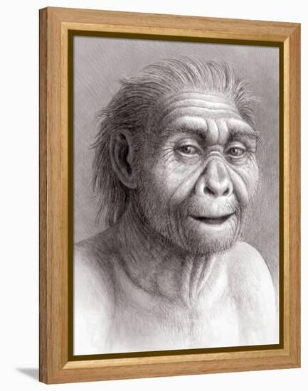 Homo Georgicus-Mauricio Anton-Framed Premier Image Canvas