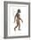 Homo Habilis, Evolution-Encyclopaedia Britannica-Framed Art Print