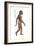 Homo Habilis, Evolution-Encyclopaedia Britannica-Framed Art Print