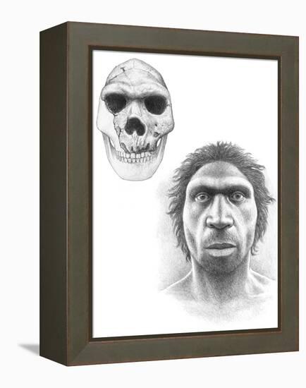 Homo Heidelbergensis Skull And Face-Mauricio Anton-Framed Premier Image Canvas