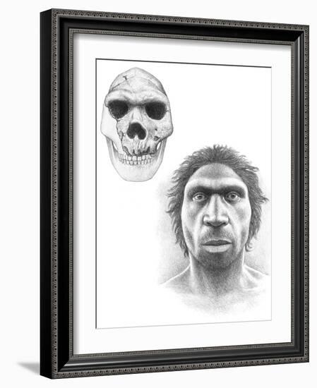 Homo Heidelbergensis Skull And Face-Mauricio Anton-Framed Photographic Print