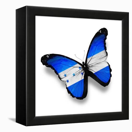 Honduras Flag Butterfly, Isolated On White-suns_luck-Framed Stretched Canvas