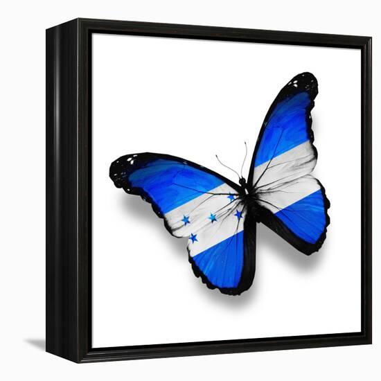 Honduras Flag Butterfly, Isolated On White-suns_luck-Framed Stretched Canvas