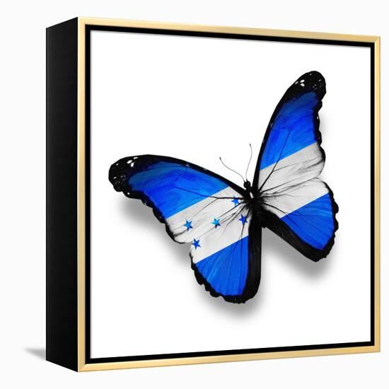 Honduras Flag Butterfly, Isolated On White-suns_luck-Framed Stretched Canvas