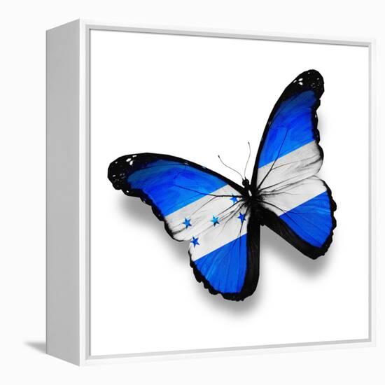 Honduras Flag Butterfly, Isolated On White-suns_luck-Framed Stretched Canvas