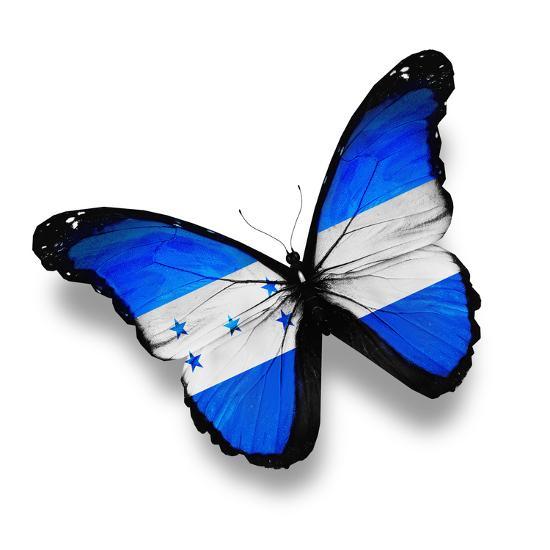 Honduras Flag Butterfly, Isolated On White Art Print 