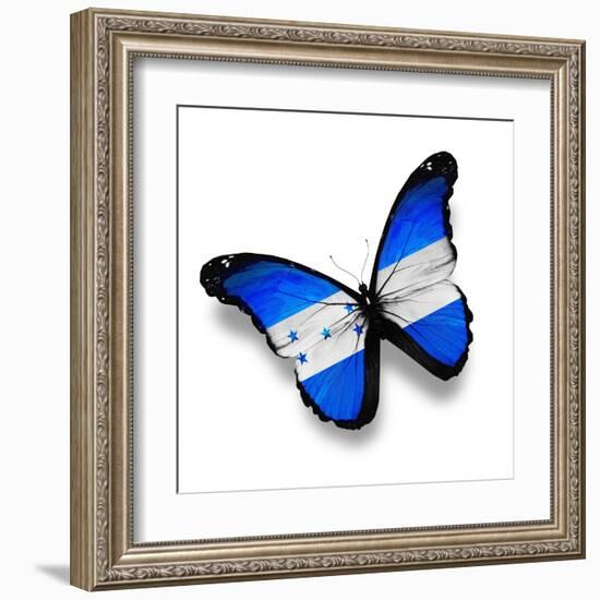 Honduras Flag Butterfly, Isolated On White-suns_luck-Framed Art Print