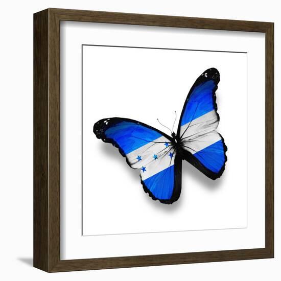 Honduras Flag Butterfly, Isolated On White-suns_luck-Framed Art Print