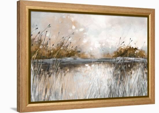 Honebloom Lake Views-Carol Robinson-Framed Stretched Canvas