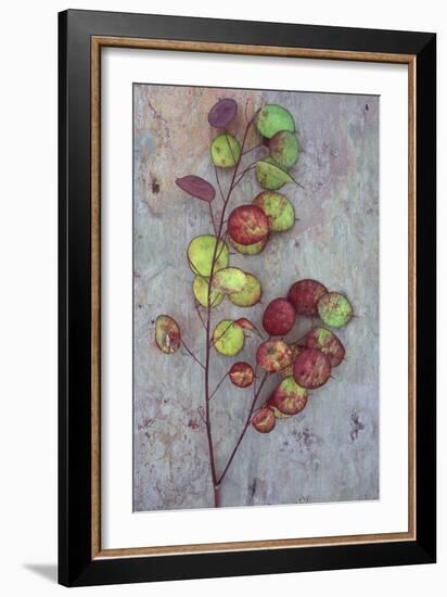 Honesty Iv-Den Reader-Framed Photographic Print