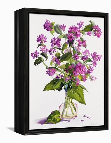 Honesty-Christopher Ryland-Framed Premier Image Canvas