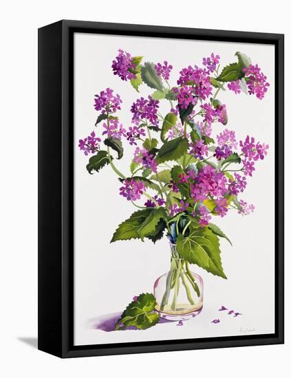 Honesty-Christopher Ryland-Framed Premier Image Canvas