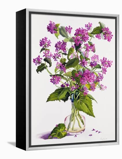 Honesty-Christopher Ryland-Framed Premier Image Canvas