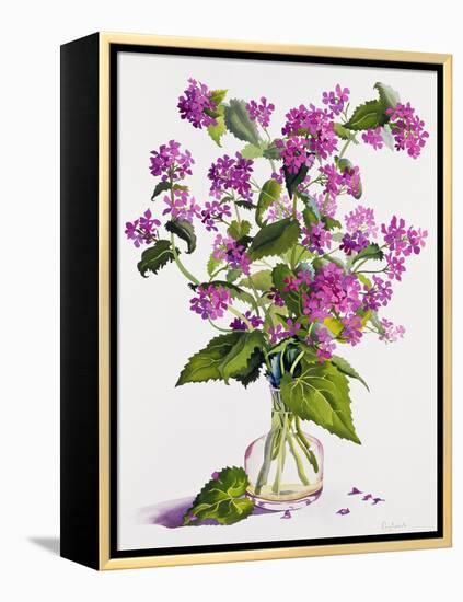 Honesty-Christopher Ryland-Framed Premier Image Canvas