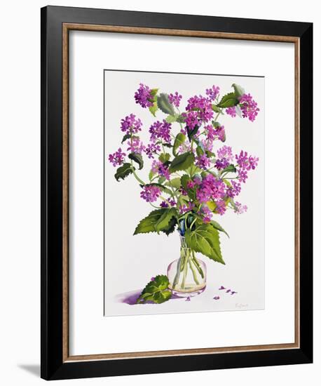 Honesty-Christopher Ryland-Framed Giclee Print